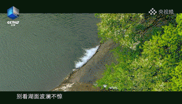 640?wx_fmt=gif 图片
