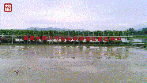 640?wx_fmt=gif 图片