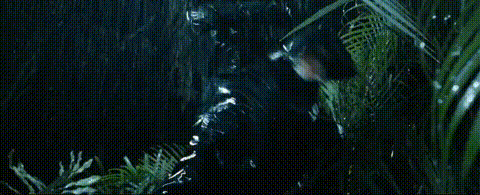 640?wx_fmt=gif&from=appmsg 图片