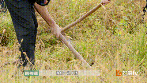 640?wx_fmt=gif&from=appmsg 图片