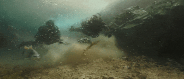 640?wx_fmt=gif&from=appmsg 图片