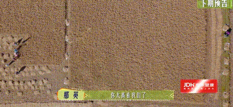 640?wx_fmt=gif 图片